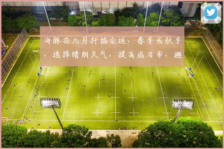 海豚花几月扦插合适，春季或秋季，选择晴朗天气，提高成活率，避免高温和强光。