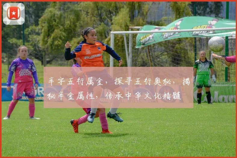 辛字五行属金，探寻五行奥秘，揭秘辛金属性，传承中华文化精髓